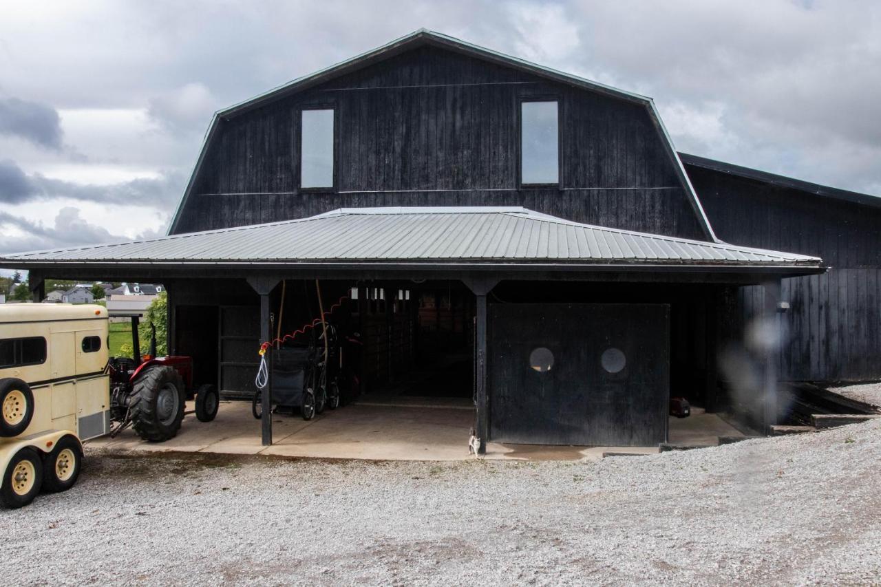 Farmhouse Of Blessings Dundee Buitenkant foto