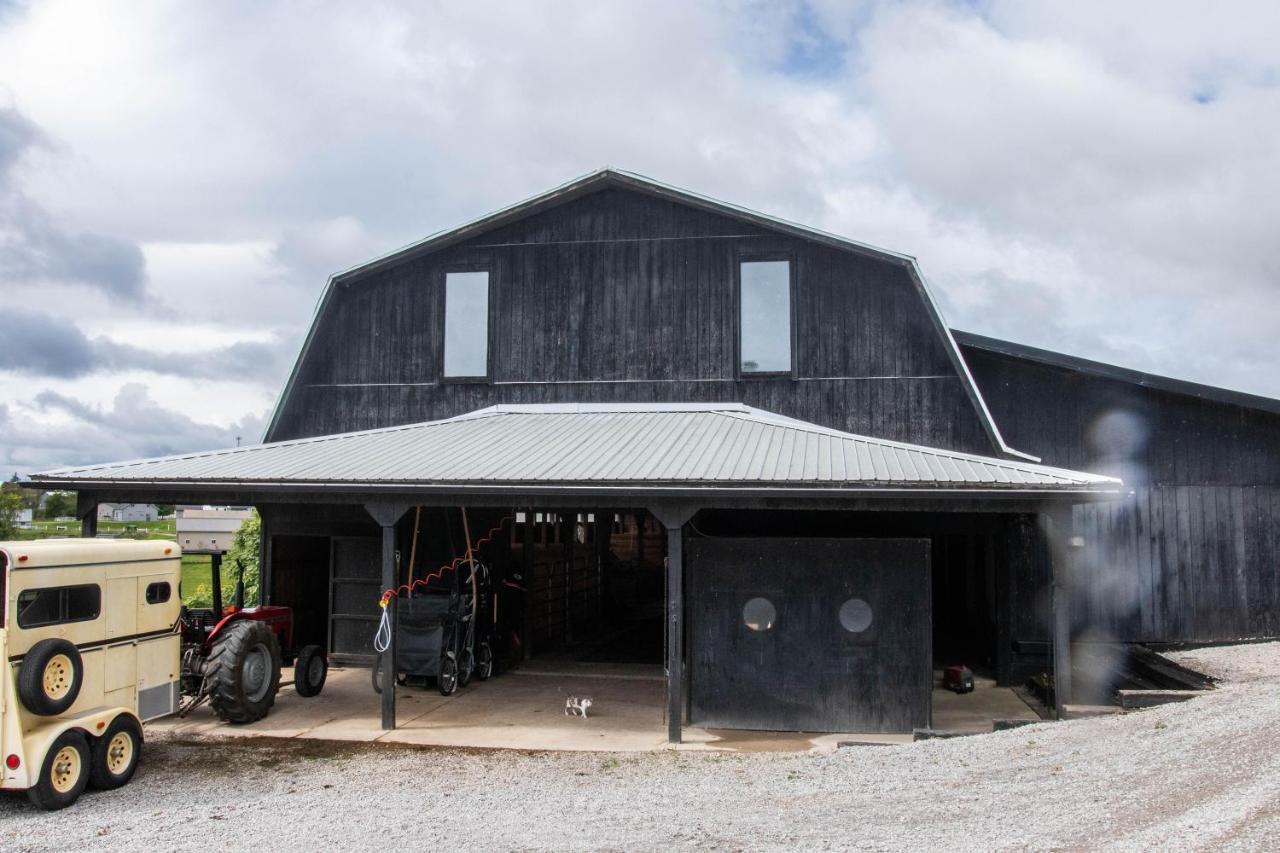 Farmhouse Of Blessings Dundee Buitenkant foto
